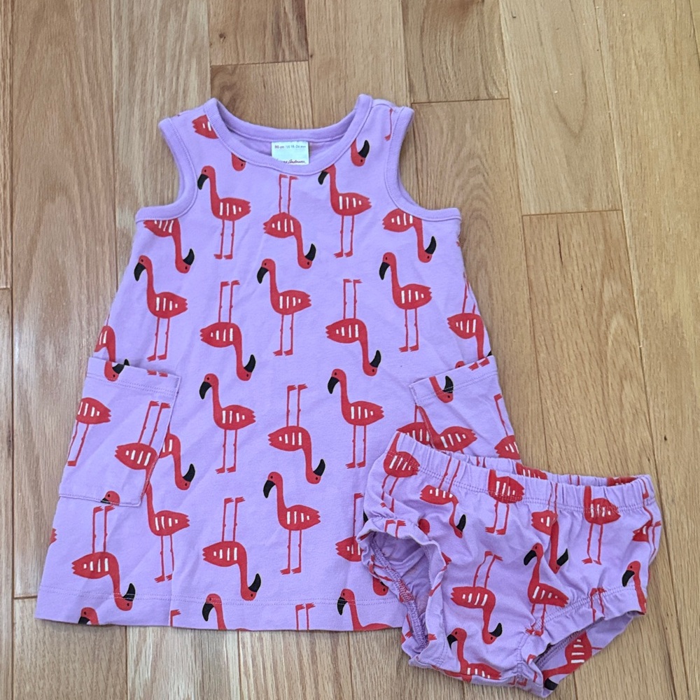 Hanna Andersson Pink Flamingo Dress Set